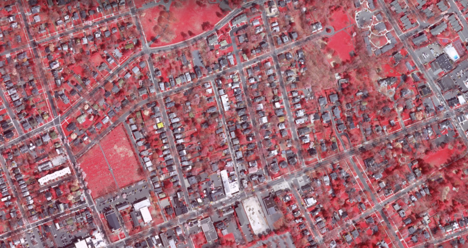The Tree Streets in color-infrared, 2015 — vegetation reads red
